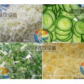 2016 Frozen/Fresh Carrot Slice Machine, Cabbage Cutting Machine, Vegetable Chopper (FC-305B)